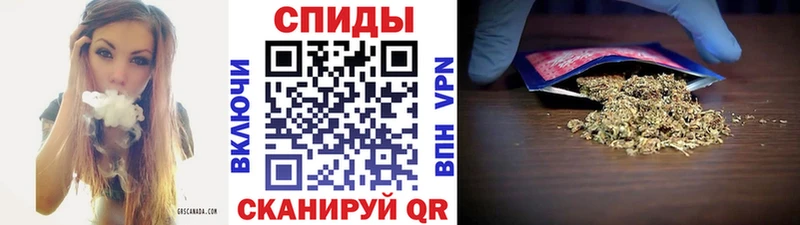 Бутират вода  blacksprut рабочий сайт  Тара  где найти  