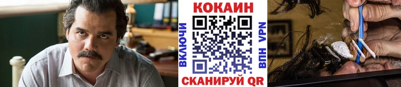 darknet клад  Тара  Кокаин FishScale  MEGA зеркало 