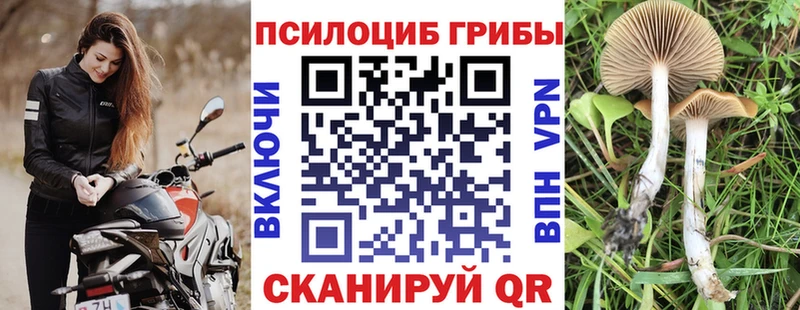 Галлюциногенные грибы GOLDEN TEACHER  Тара 